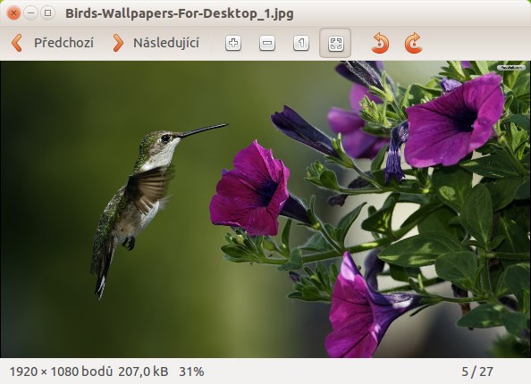 Prohlížeč obrázků Eye of GNOME v ubuntu Linuxu - Základy Linuxu